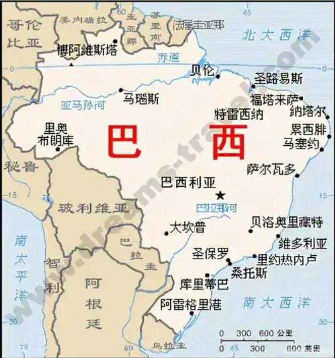 巴西拼箱價(jià)格 巴西海運(yùn)代理 巴西散貨拼箱價(jià)格 巴西船期查詢(xún)國(guó)際物流貨運(yùn)代理