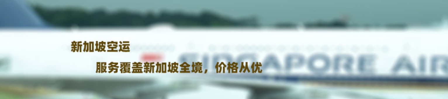 新加坡海運(yùn)專線 新加坡空運(yùn)價格 新加坡快遞查詢 新加坡海空鐵多式聯(lián)運(yùn)國際貨運(yùn)代理
