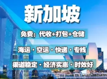 新加坡海運(yùn)專線 新加坡空運(yùn)價格 新加坡快遞查詢 新加坡海空鐵多式聯(lián)運(yùn)國際貨運(yùn)代理
