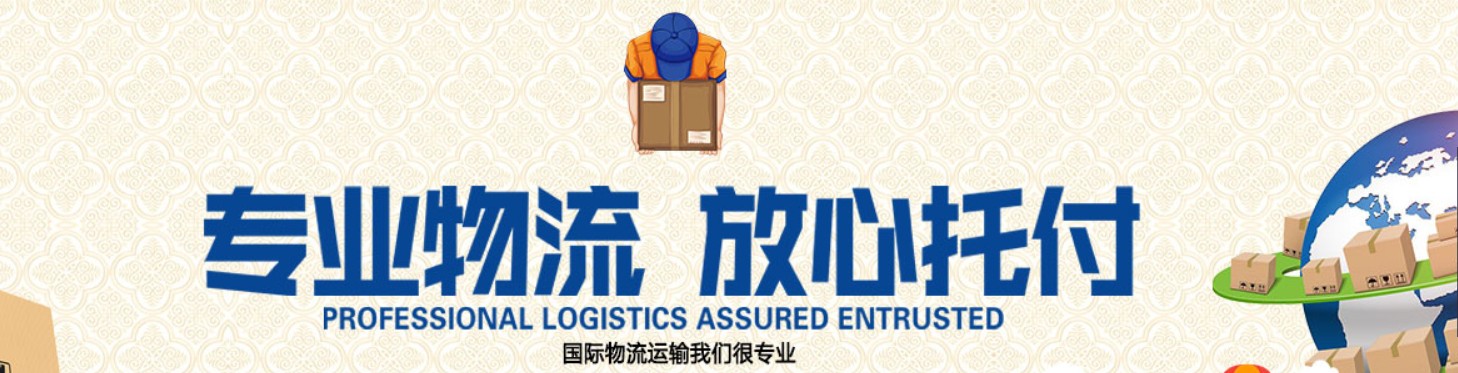 瑞獅國際是國際貨運代理公司、國際物流，跨境進出口電子商務有限公司公司等商務部批準的綜合性進出口服務商之一。貨運代理分為：國際貨運代理公司 國內貨運代理公司或者航空貨運代理、國內貨運和國際物流等。物流分為國內物流和國際物流，瑞獅國際主打國際物流，但憑借優秀的自有公司和代理網絡，在國內物流或者國內貨運方面，也有涉及，國為國內外進出口企事業單位提供完整綜合的優秀服務。 